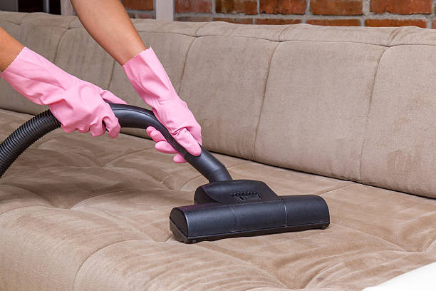 istock Professionally turbo brush making free sofa from dust. Spring cleaning. 546179890