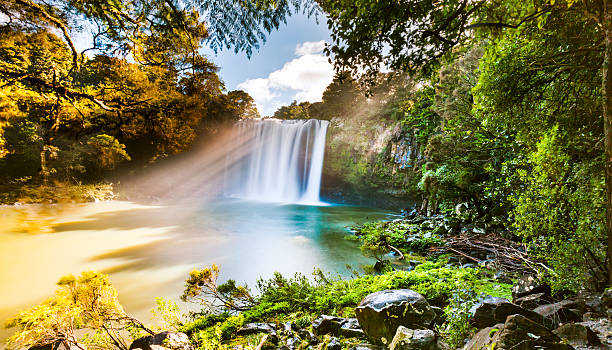 Magic Light at Rainbow Falls Rainbow Water falls in Kerikeri, New Zealand. bay of islands new zealand stock pictures, royalty-free photos & images
