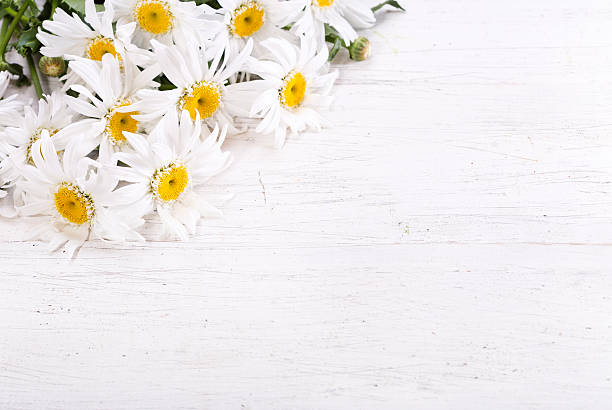 bouquet of daisy flowers on wooden table