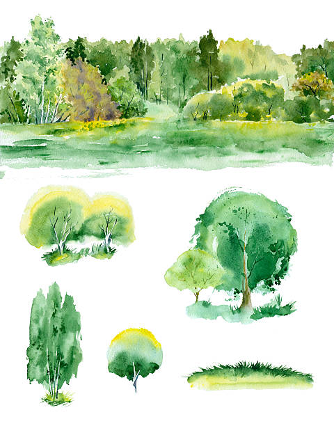 akwarela zestaw zielonych drzew. - grove stock illustrations
