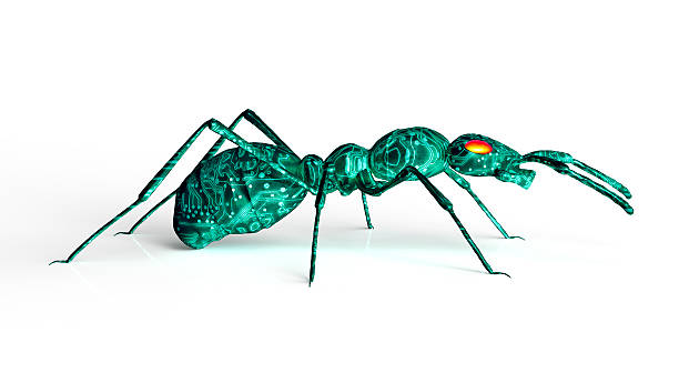 Insect Computer Bug Ant 120+ Robot Ant Stock Photos, Pictures & Royalty-Free Images - iStock