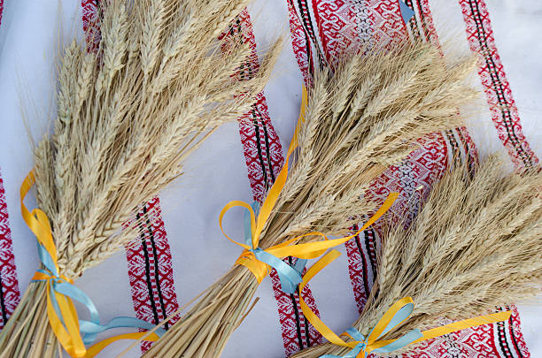 istock Golden ear of wheat on blue sky background 546183442