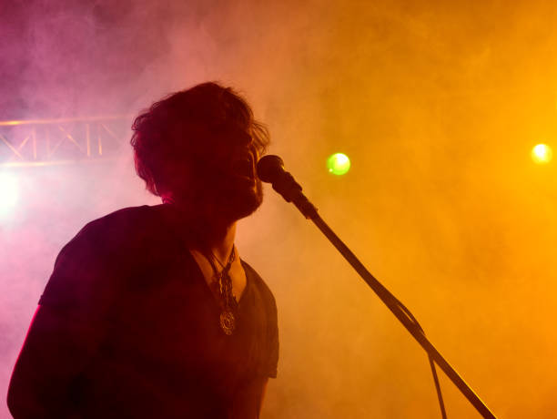 istock Silhouette of guitar player on stage. 546184298