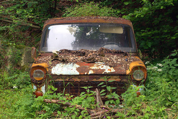 istock car wreck in nature 546186702
