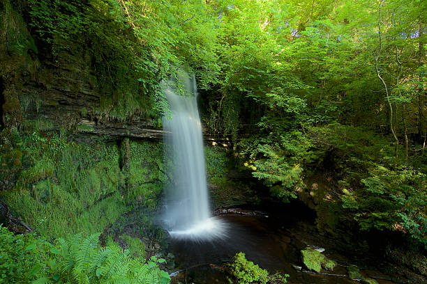 istock Glencar Waterfall, Ireland 546189924