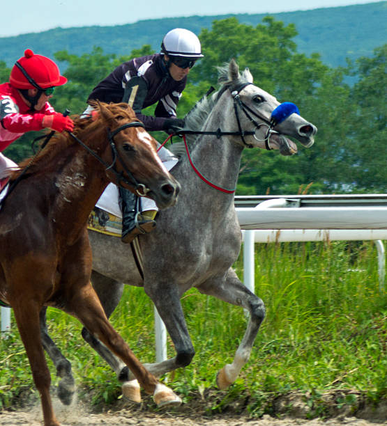 istock Horse racing in Pyatigorsk 546190908