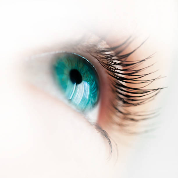 istock Macro image of beautiful eye 546193382
