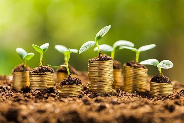 Prosperidad - Banco de fotos e imágenes de stock - iStock Prosperidad - Banco de fotos e imágenes de stock - iStock