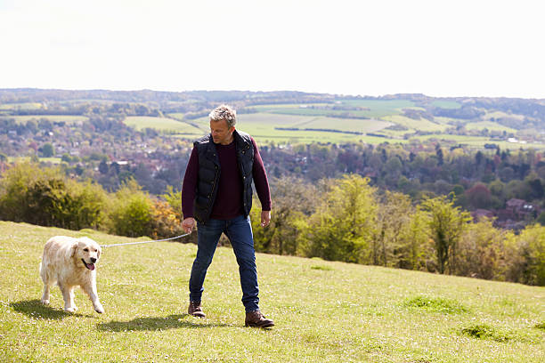 istock Mature Man Taking Golden Retriever For Walk In Countryside 546200422