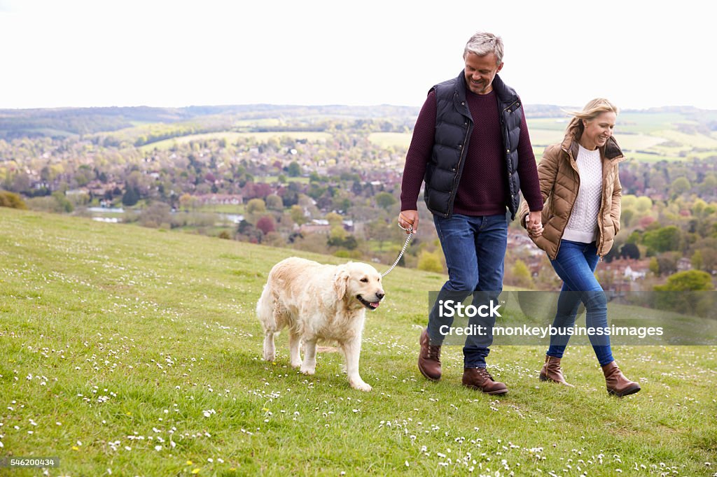 Pareja madura tomando Golden Retriever para caminar - Foto de stock de Pasear perros libre de derechos