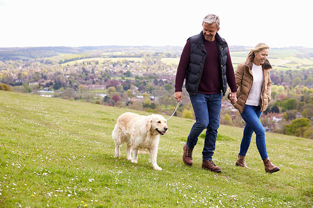 istock Mature Couple Taking Golden Retriever For Walk 546200434