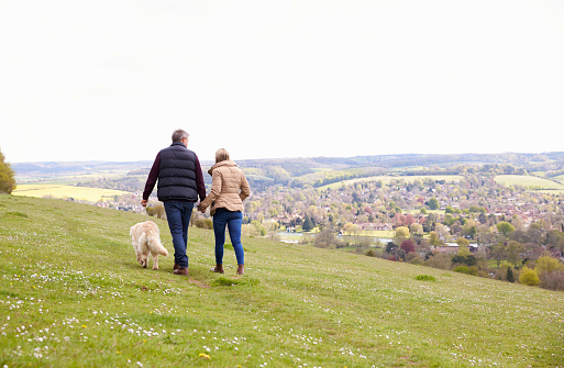 Rear View Of Mature Couple Taking Golden Retriever For Walk