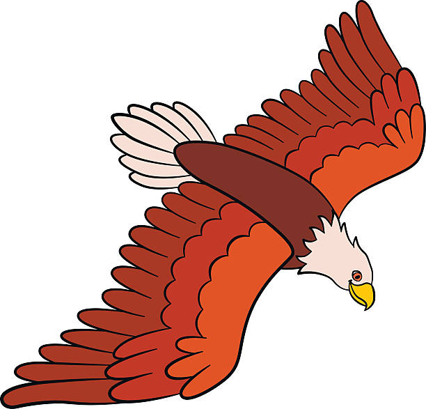 Niños De Dibujos Animados Lindo águila Vectores Libres de Derechos - iStock Niños De Dibujos Animados Lindo águila Vectores Libres de Derechos - iStock