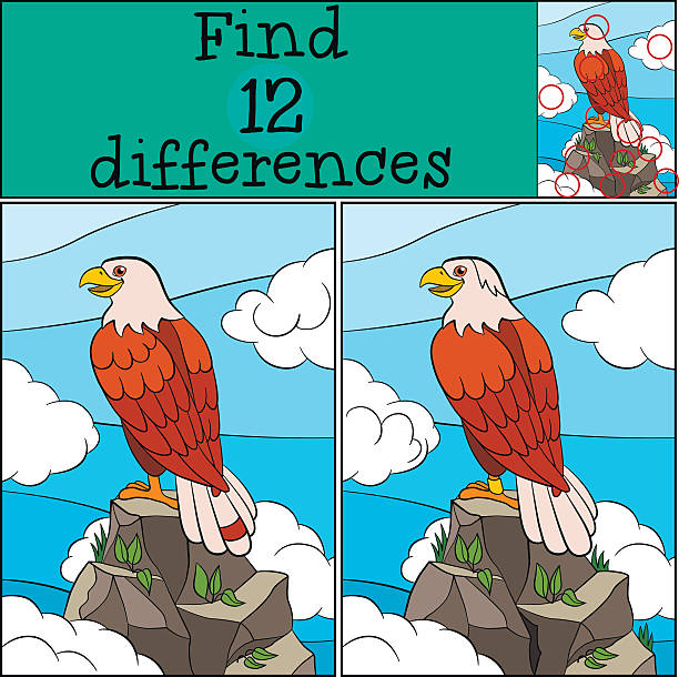 Children games: Find differences. Cute bald eagle smiles. Children games: Find differences. Cute bald eagle sits on the top of the rock and smiles. spotted eagle stock illustrations