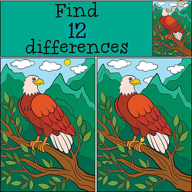 Children games: Find differences. Cute bald eagle smiles. Children games: Find differences. Cute bald eagle sits on the tree branch and smiles. spotted eagle stock illustrations