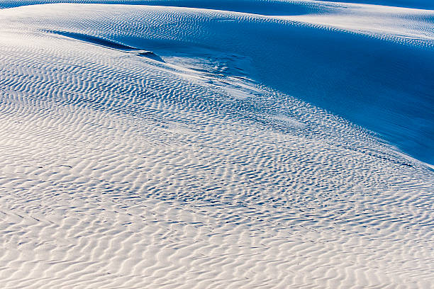 istock beautiful view of the coastal dunes 546204188