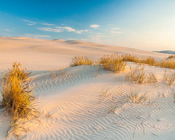 istock beautiful view of the coastal dunes 546204622