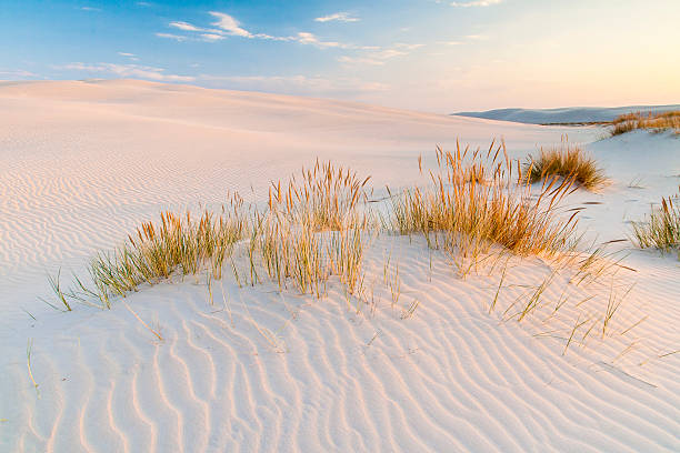 istock beautiful view of the coastal dunes 546204702