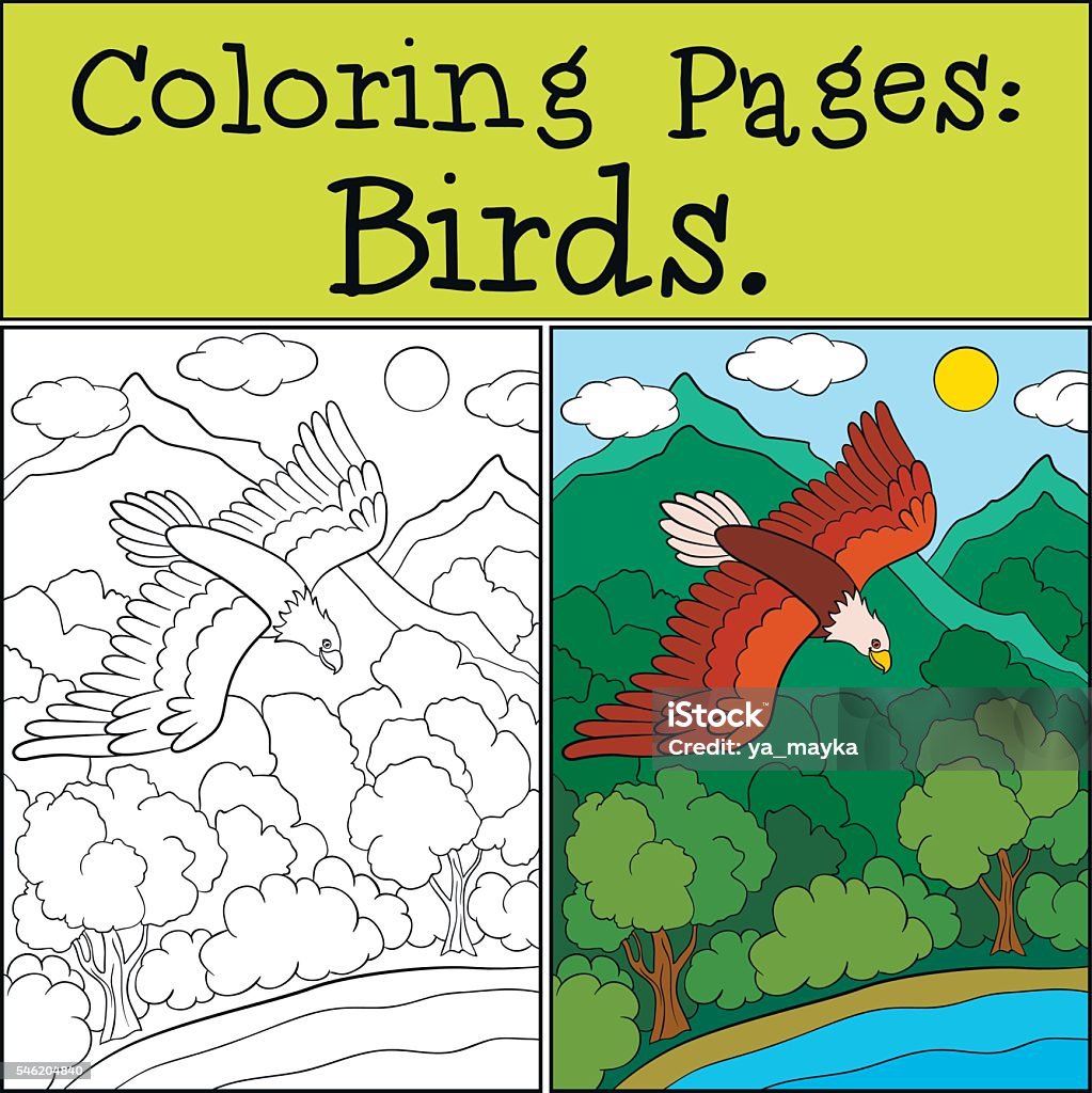 Coloring Pages: Wild Birds. Cute bold eagle flying. Coloring Pages: Wild Birds. Cute bold eagle flying and smiling. Animal stock vector