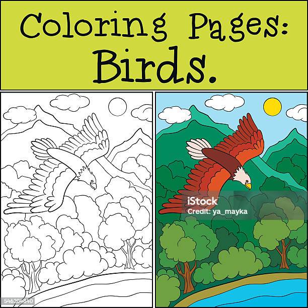 Coloring Pages Wild Birds Cute Bold Eagle Flying Stock Illustration - Download Image Now