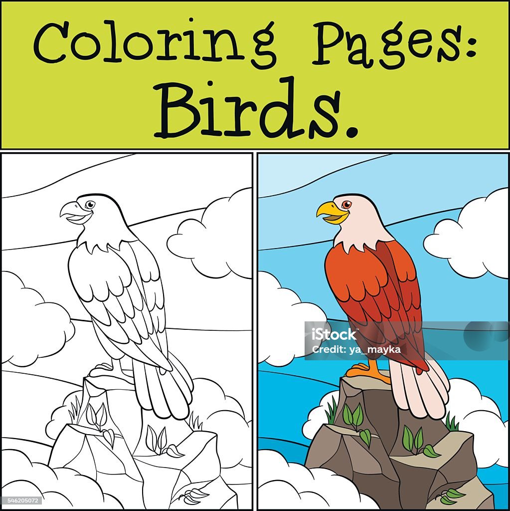 Coloring Pages: Wild Birds. Cute bold eagle. Coloring Pages: Wild Birds. Cute bold eagle sits on the rock among clouds and smiles. Animal stock vector