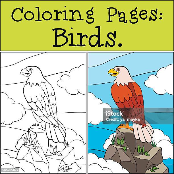 Coloring Pages Wild Birds Cute Bold Eagle Stock Illustration - Download Image Now - Animal, Animal Body Part, Animal Wildlife
