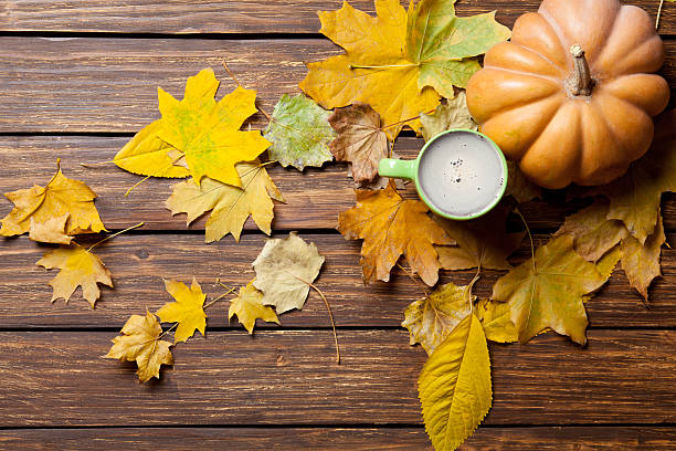istock fallen leaves, pumpkin and cup of coffee 546205952