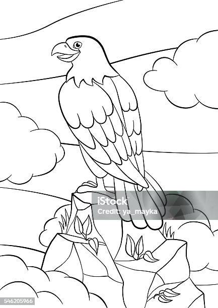 Coloring Pages Wild Birds Cute Smiling Eagle On The Rock Stock Illustration - Download Image Now