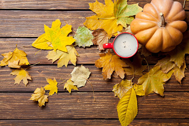 istock fallen leaves, pumpkin and cup of coffee 546206062