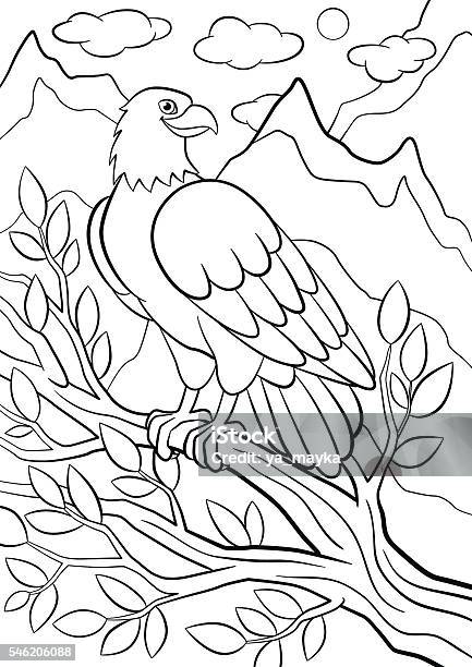 Coloring Pages Wild Birds Cute Eagle On The Tree Branch Stock Illustration - Download Image Now