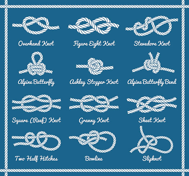 stockillustraties, clipart, cartoons en iconen met rope knots, hitches, bows, bends. part 1 / 3 - geknoopt