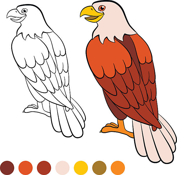 Niños De Dibujos Animados Lindo águila Vectores Libres de Derechos - iStock