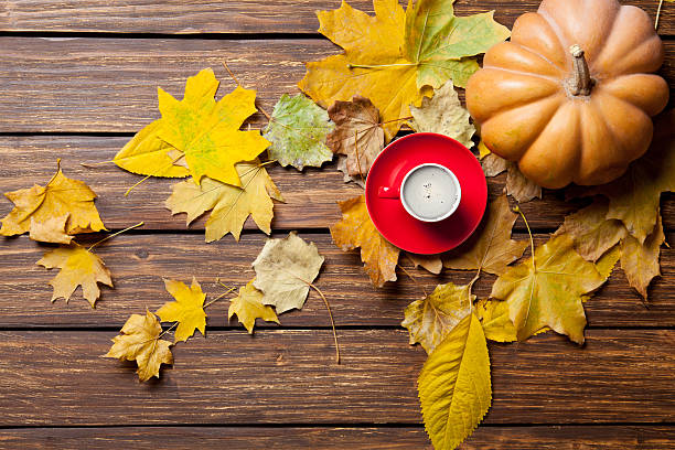 istock fallen leaves, pumpkin and cup of coffee 546206546