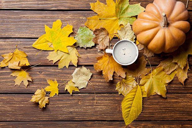 istock fallen leaves, pumpkin and cup of coffee 546206670