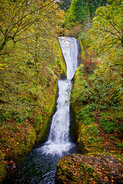 istock Bridal Veil Falls, Oregon 546422936