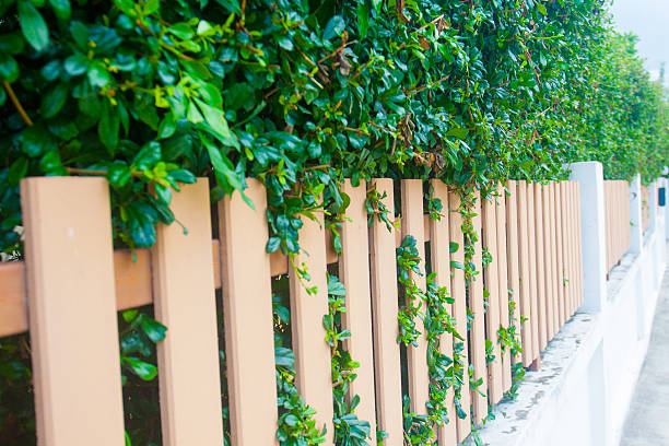 istock County style long wooden fence 546424194