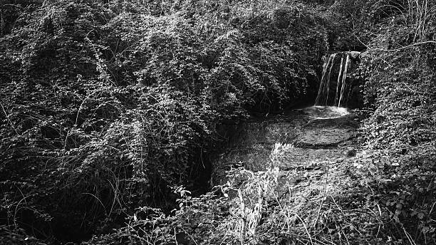 istock Cascade of a mountain stream in the vegetation. 546425080