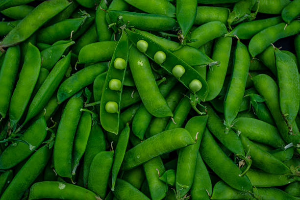 Green peas on black background