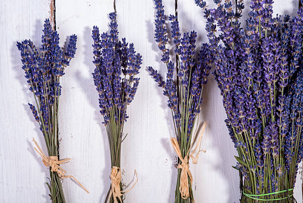 istock bouquet of lavender 546428484
