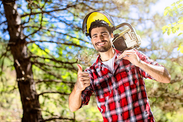 Lumberjack in the wood. Shallow DOF. Developed from RAW; retouched with special care and attention; Small amount of grain added for best final impression. 16 bit Adobe RGB color profile.