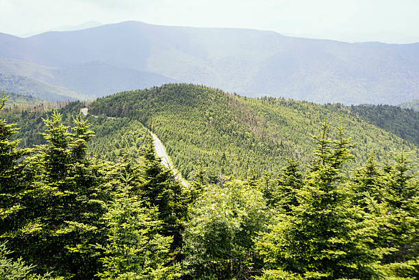 istock Mountain landscape near Mt. Mitchell State Park. 546429874