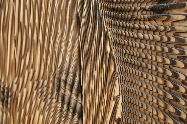 abstract wood pattern stock photo
