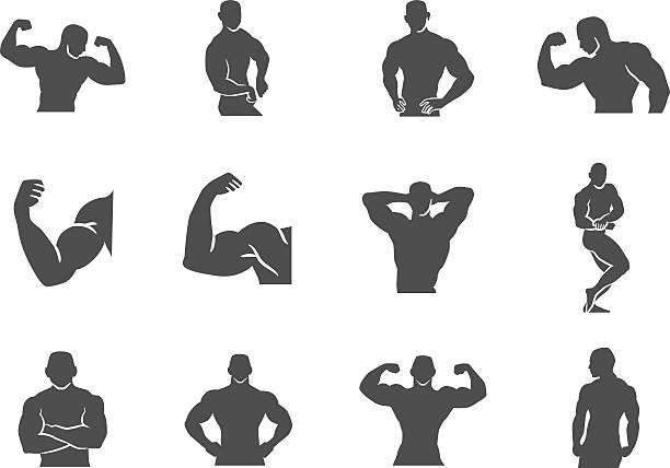 icon_Template silhouette, adult, healthy, sport, vector, illustration, energy, isolated, man, male, power, model, health, strong, strength, arm, pose, posing, fit, gym, body, human, workout, fitness, athlete, training, muscular, exercise, icon, chest, weight, athletic, anatomy, muscle, hunk, builder, bodybuilding, flexing, bicep, bodybuilder, flex, pectoral pectoral muscle stock illustrations