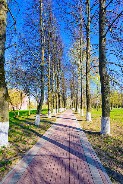 istock Alley spring sunny day 546430460