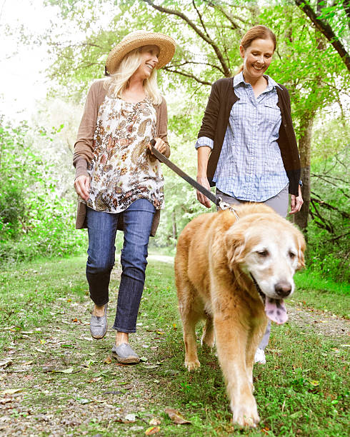 Walking Dog Friends walking  golden retriever down a dirt road or trail with oak trees above. mature adult walking dog stock pictures, royalty-free photos & images