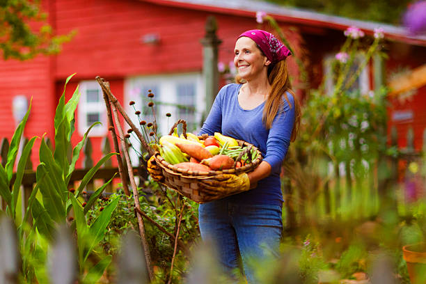 Mature woman in her garden holding basket full of garden vegetables with red barn in the background.