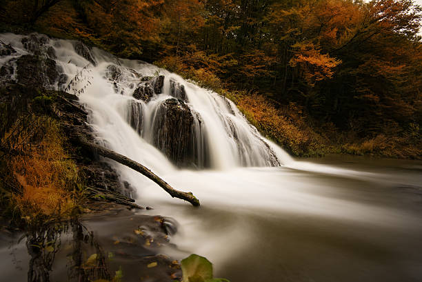 istock Dokuzak waterfall, Strandzha mountain, Bulgaria 546432276