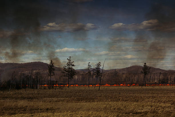 istock The fire in the field. Fire line. Disaster. Landscape. 546432892