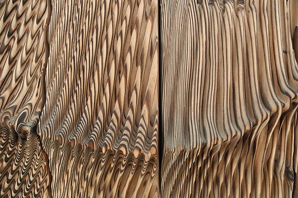 wood pattern stock photo