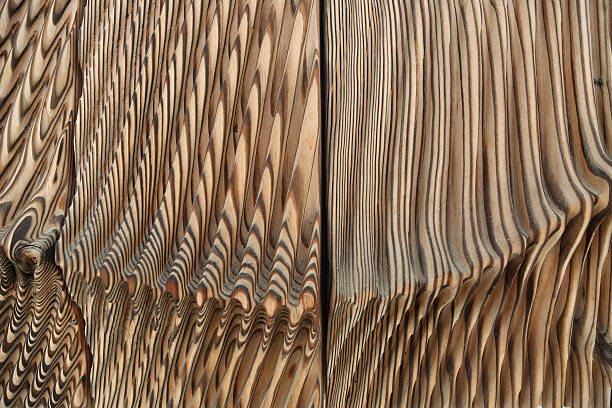 wood pattern stock photo